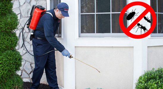 Bartın Kene İlaçlama böcek ilaçlama ve haşere kontrolü — ilaclama-tr.com